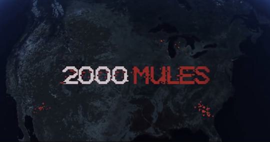 2000 mules